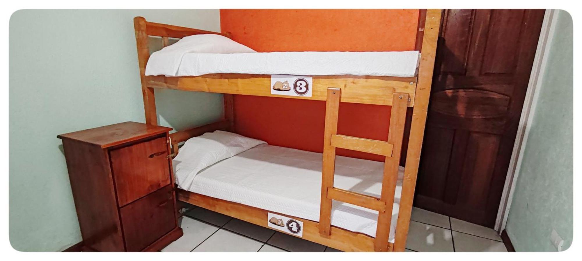 Hotel & Hostel Sloth Backpackers Monteverde Eksteriør bilde