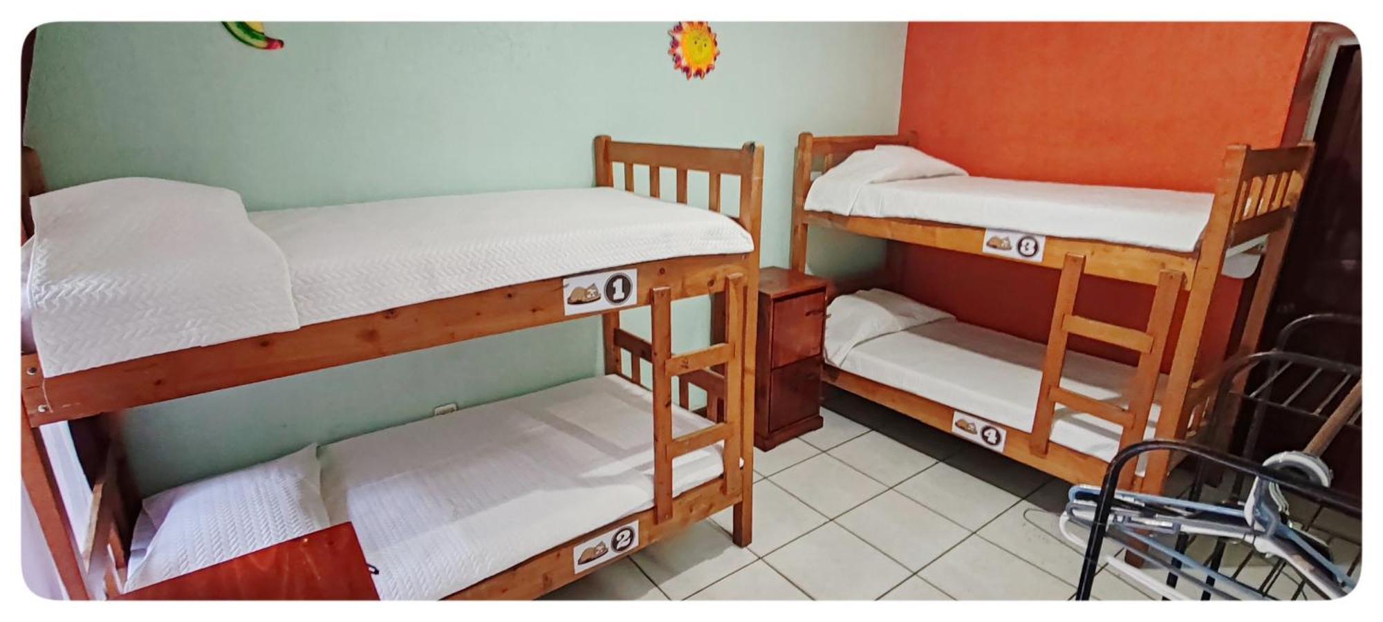 Hotel & Hostel Sloth Backpackers Monteverde Eksteriør bilde