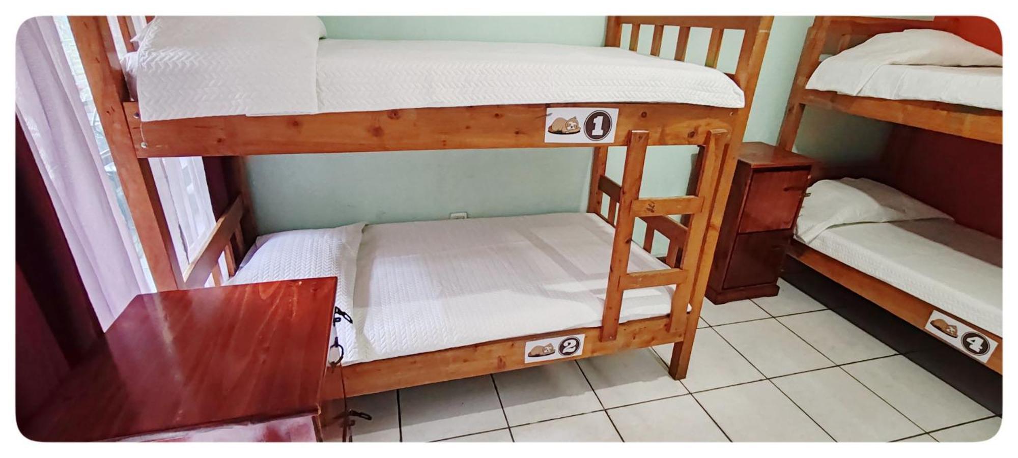 Hotel & Hostel Sloth Backpackers Monteverde Eksteriør bilde